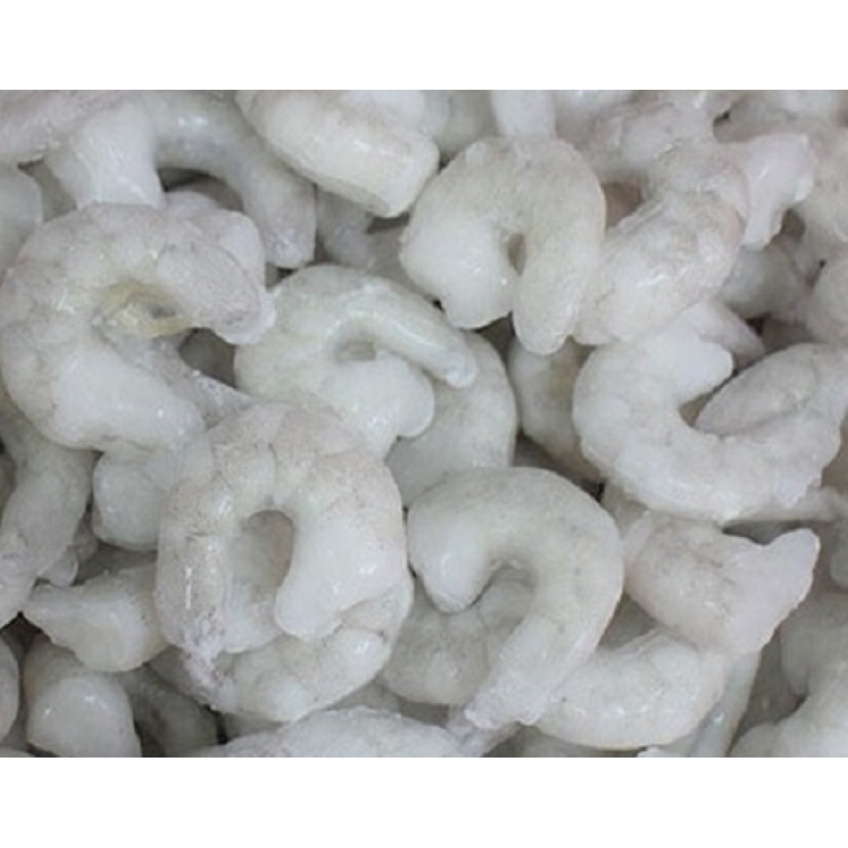 Vannamei Prawn Raw Peeled And Deveined Back Cut Size 41 50
